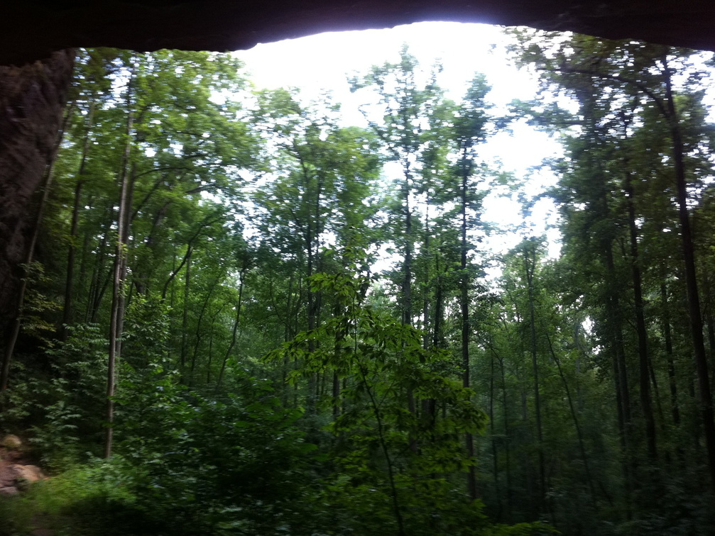 Sheltowee Trace, Red River Gorge